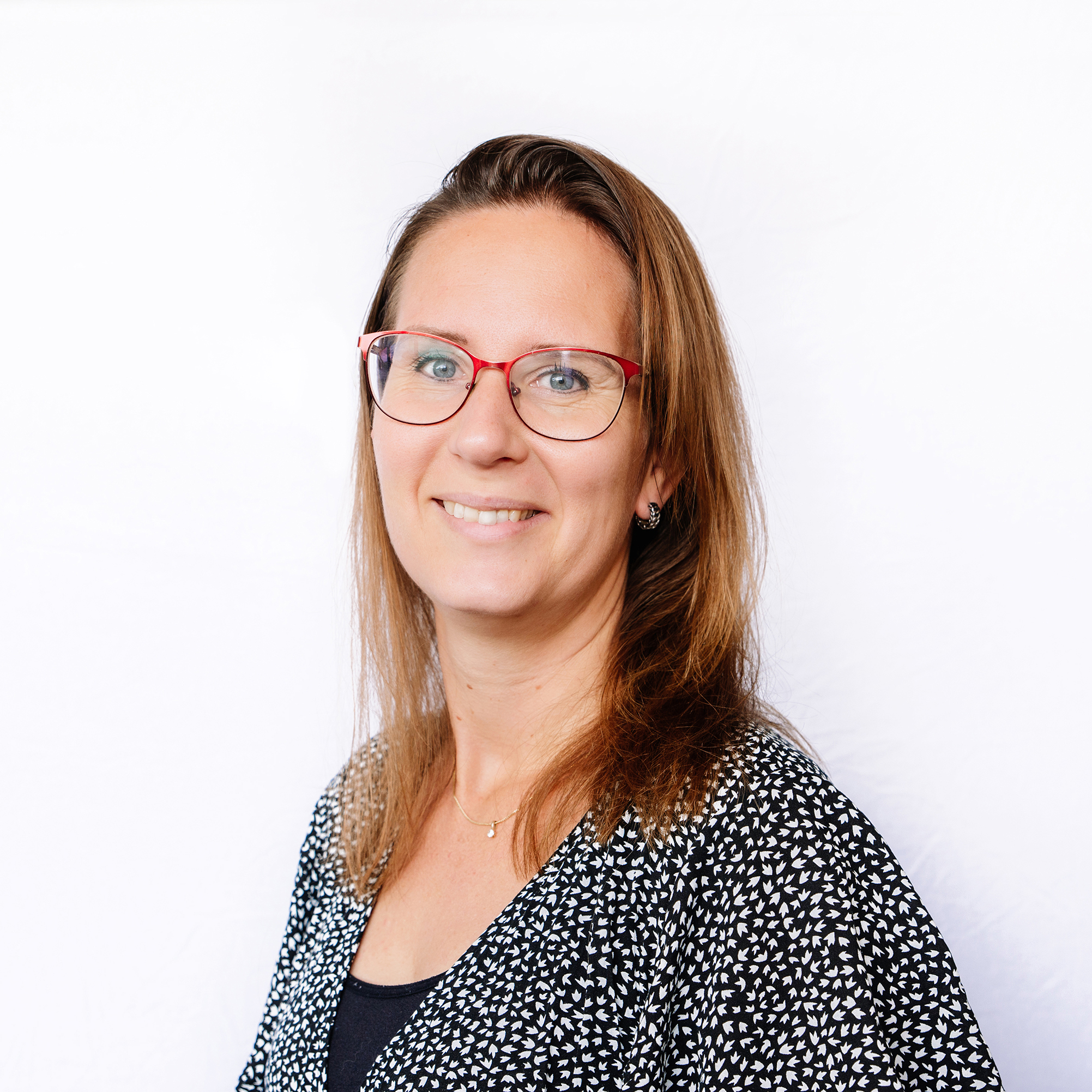 Verkeersregels voor ruiters en menners EFO
