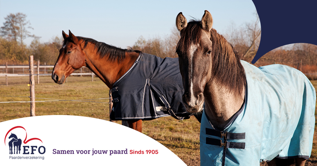 Wanneer Is Een 100 Grams Deken Op?