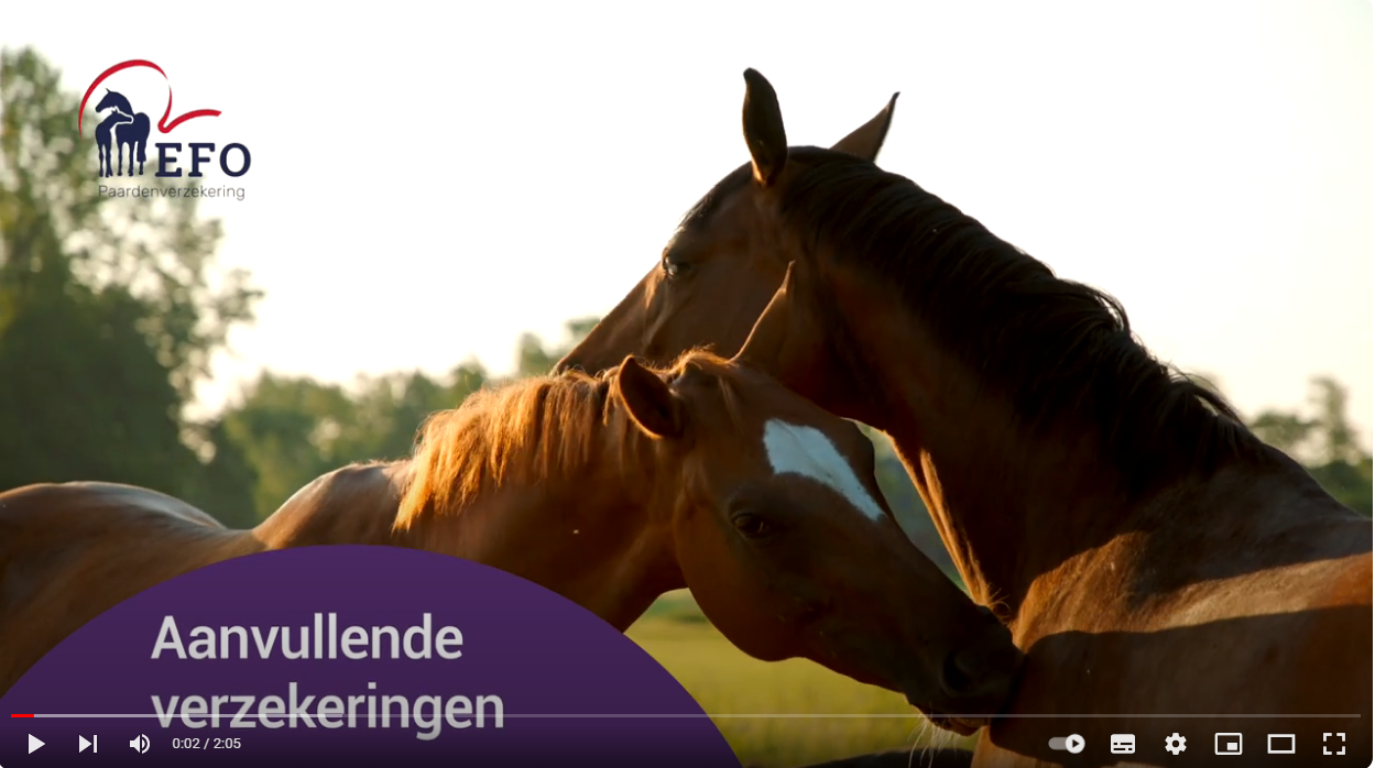 Ziektekostenverzekering Basis | EFO
